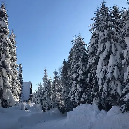 Dom Na Wynajem - Bartoszowka Tatil Evi Ochotnica Górna
