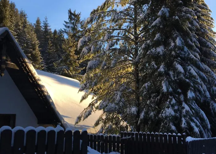 Dom Na Wynajem - Bartoszowka בית נופש